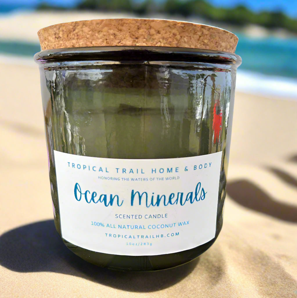 Ocean Minerals